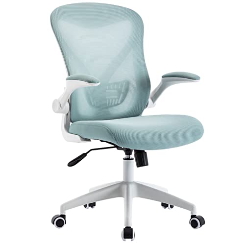 Ergonomic Home Office Chair