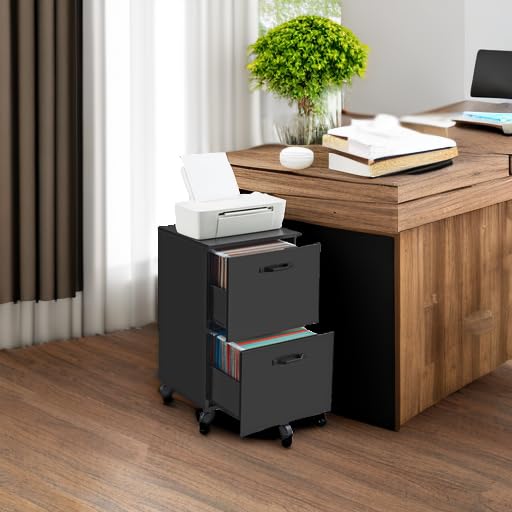VASAGLE 2-Drawer Rolling File Cabinet, Snow White
