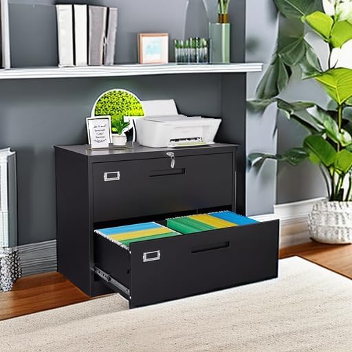 Letaya 2-Drawer Metal Lateral File Cabinet with Lock, Black