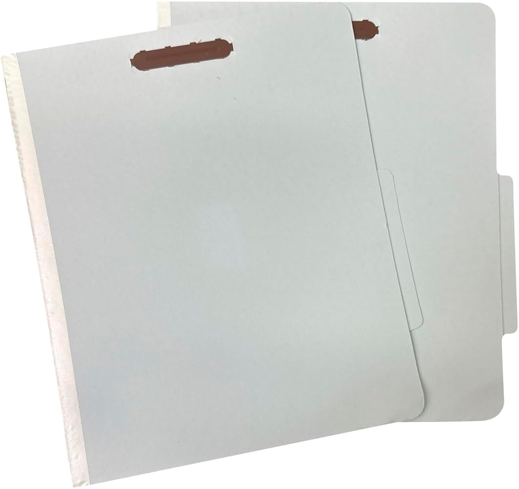 Amazon Basics Sturdy 10-Pack Letter Size Pressboard File