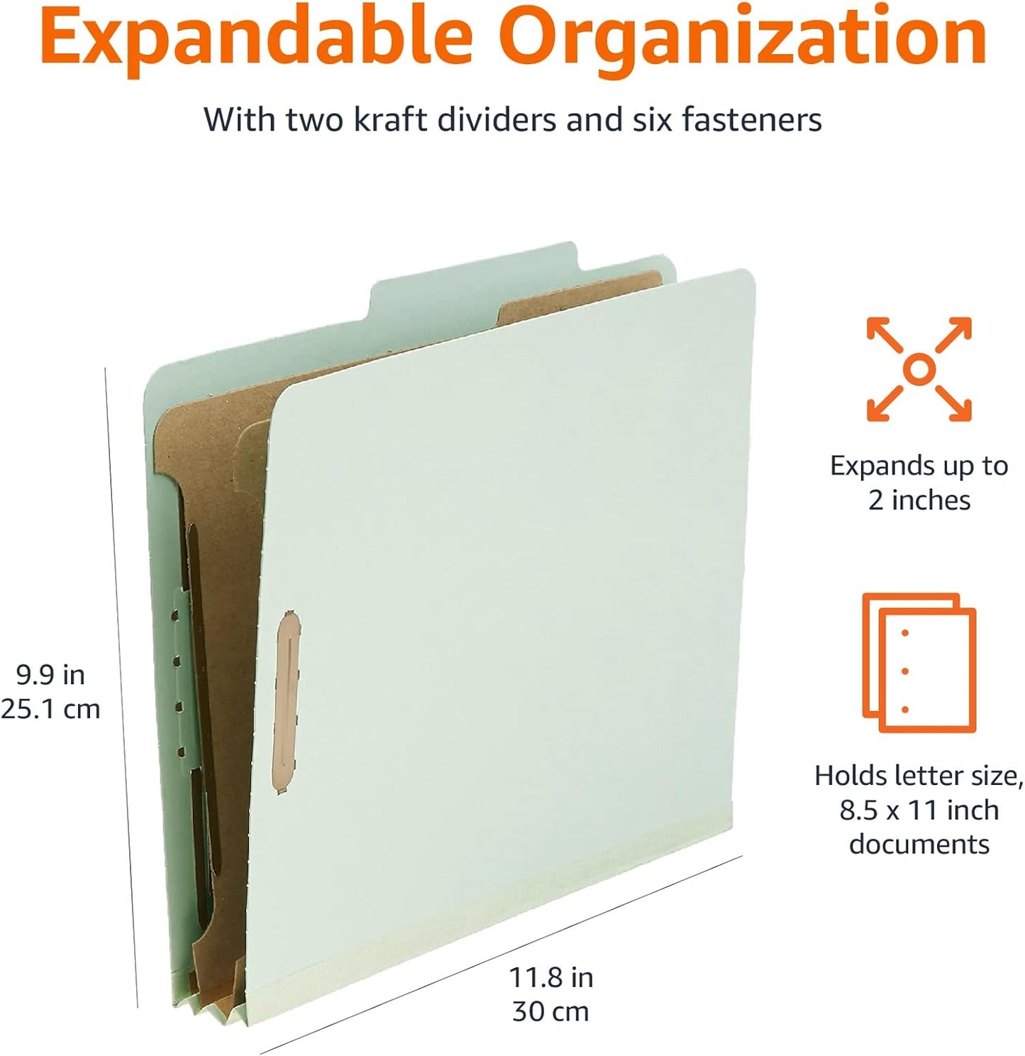 Amazon Basics Sturdy 10-Pack Letter Size Pressboard File