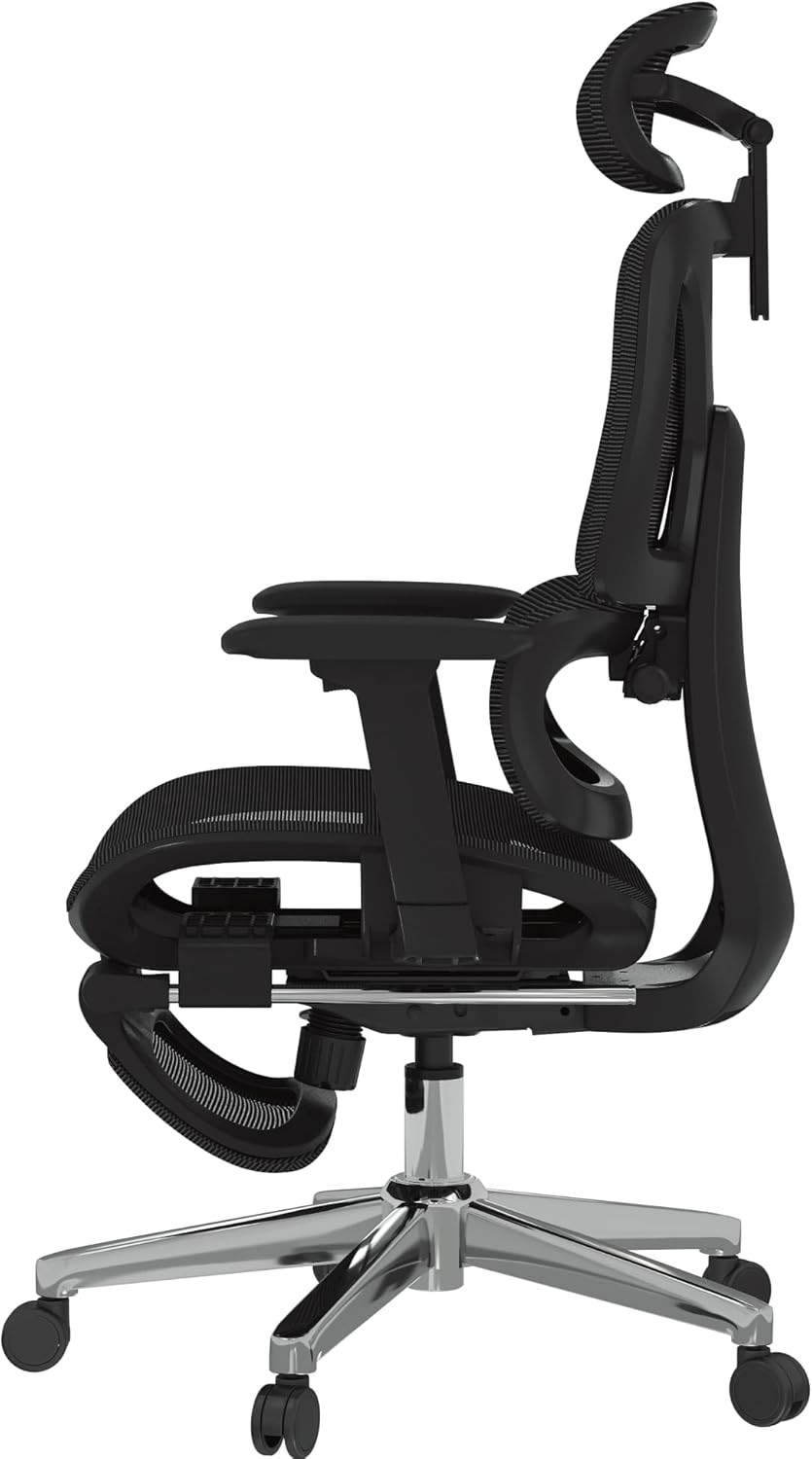 FLEXISPOT ErgoX Chair