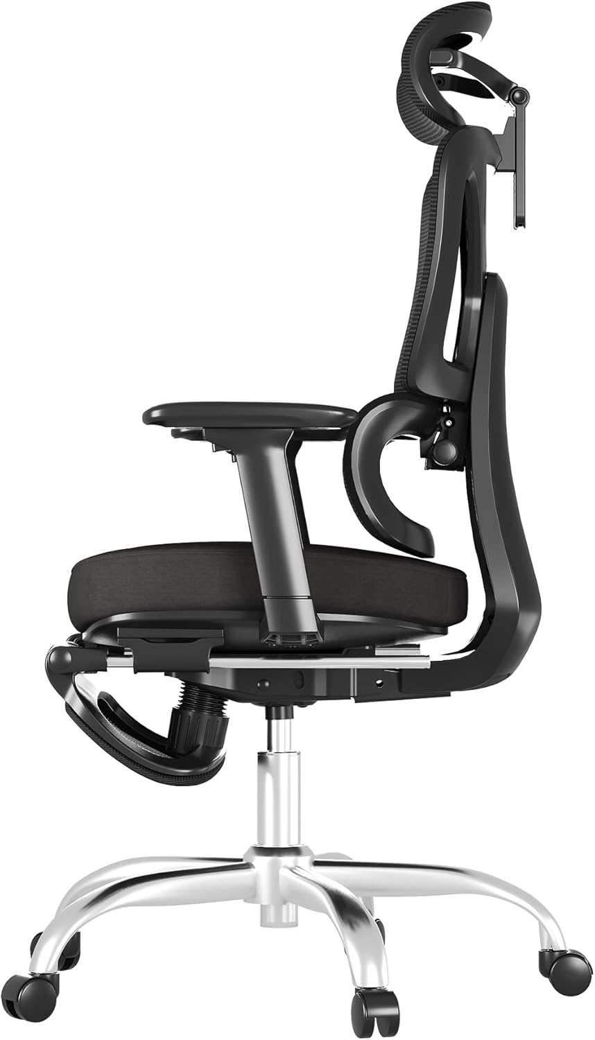 FLEXISPOT ErgoX Chair