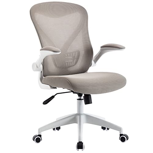 Ergonomic Home Office Chair