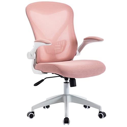 Ergonomic Home Office Chair