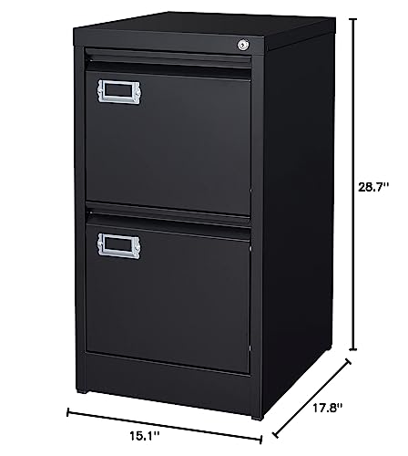 2-Drawer Vertical Locking File Cabinet, Steel, Letter Size