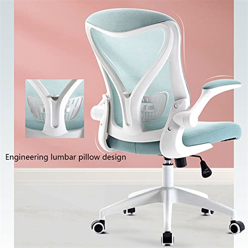 Ergonomic Home Office Chair