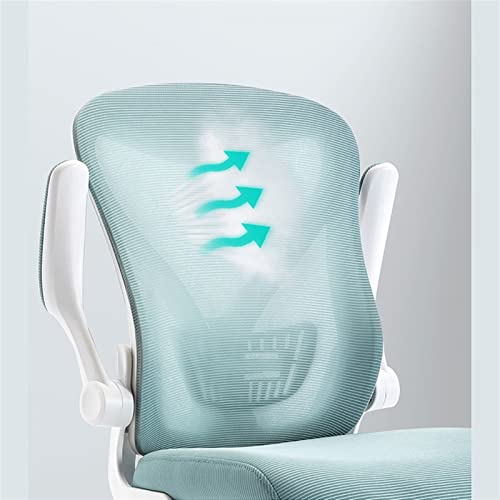 Ergonomic Home Office Chair