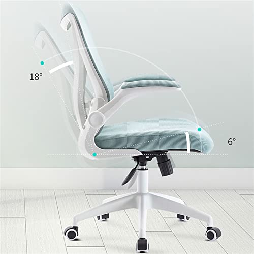 Ergonomic Home Office Chair