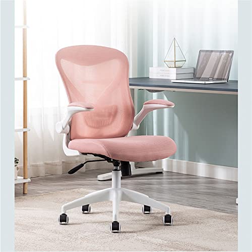 Ergonomic Home Office Chair