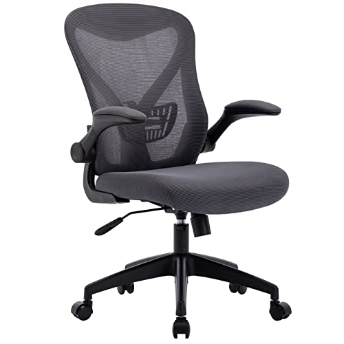 Ergonomic Home Office Chair
