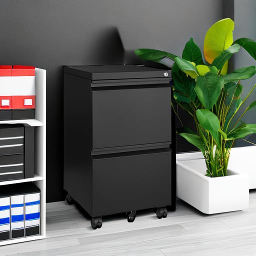2-Drawer Vertical Locking File Cabinet, Steel, Letter Size