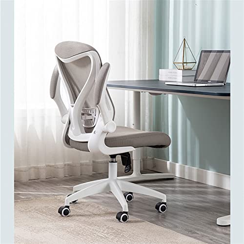 Ergonomic Home Office Chair