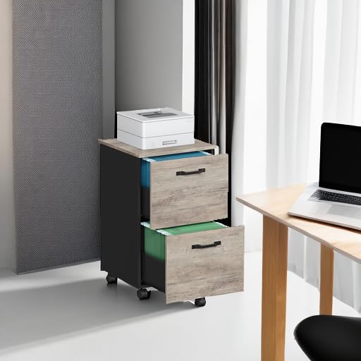 VASAGLE 2-Drawer Rolling File Cabinet, Snow White