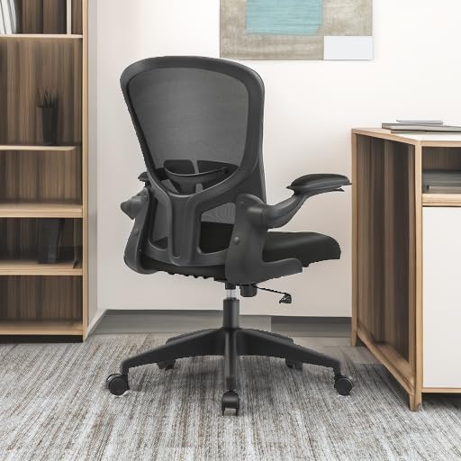 FelixKing Office Chair