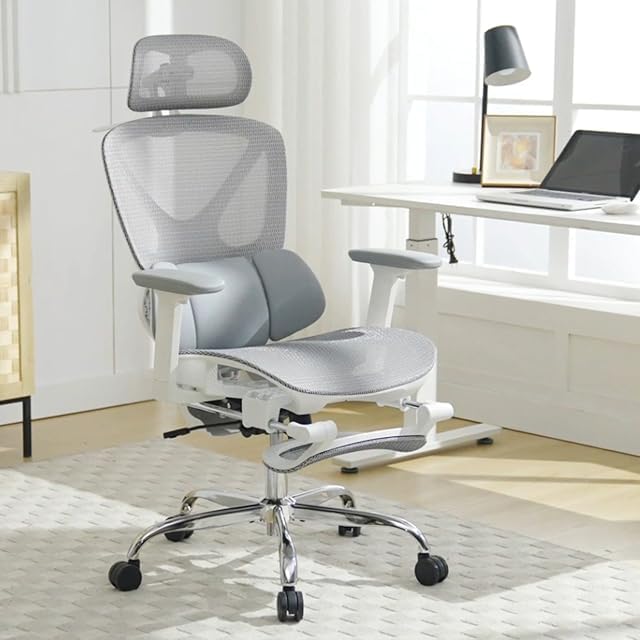 LuxErgo Mesh Office Chair