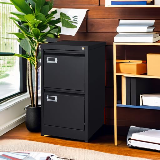 2-Drawer Vertical Locking File Cabinet, Steel, Letter Size
