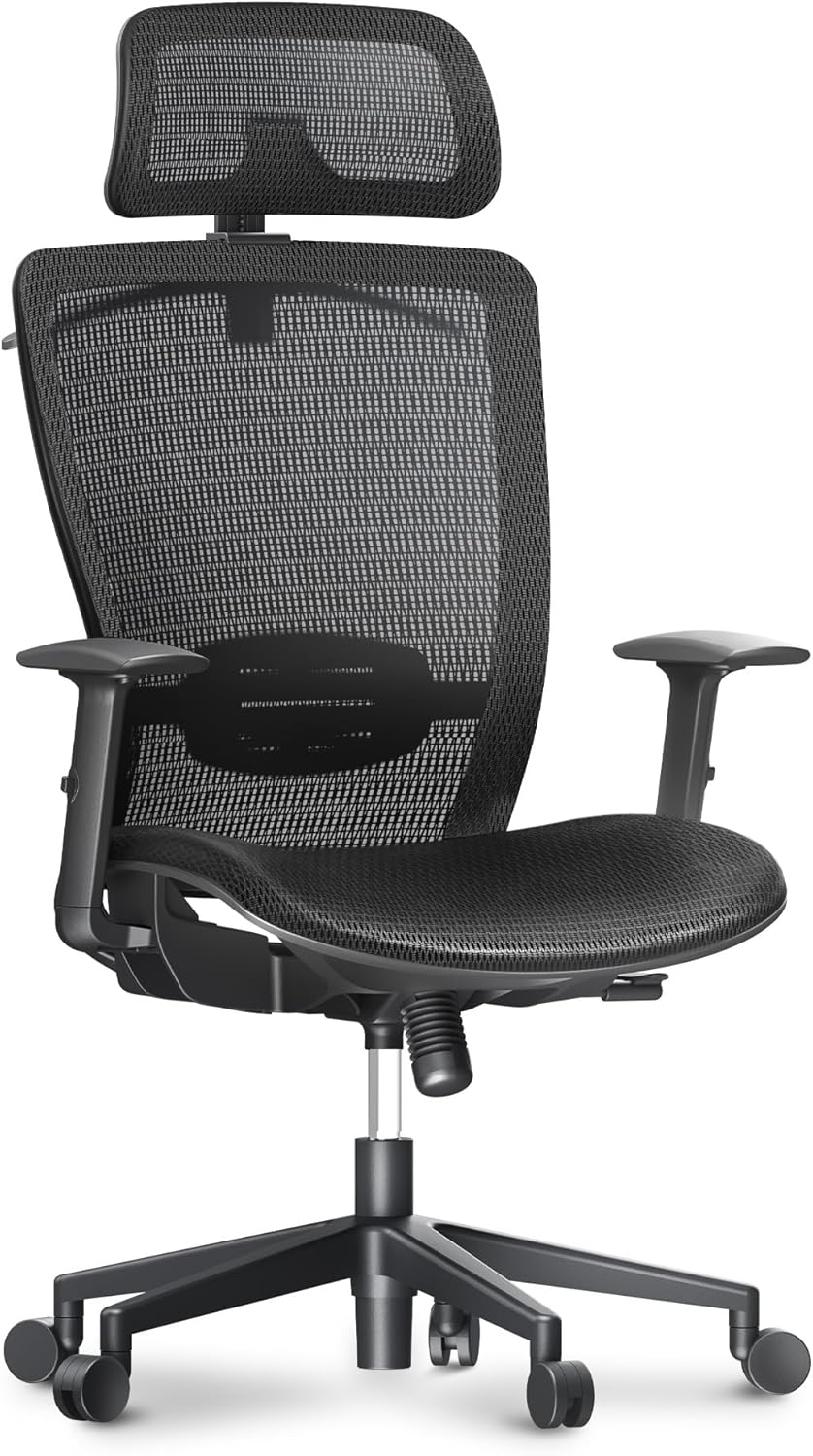 FLEXISPOT Office Chair - Black
