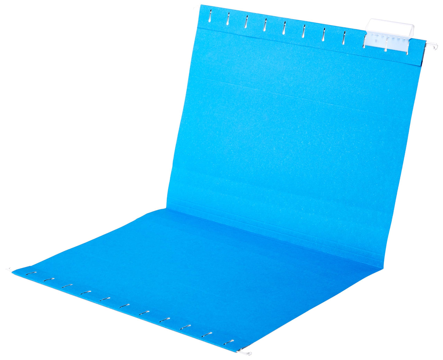 Amazon Basics Hanging File Folders, Letter, 25-Pack