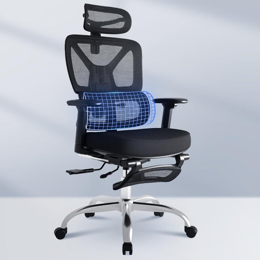 FLEXISPOT ErgoX Chair