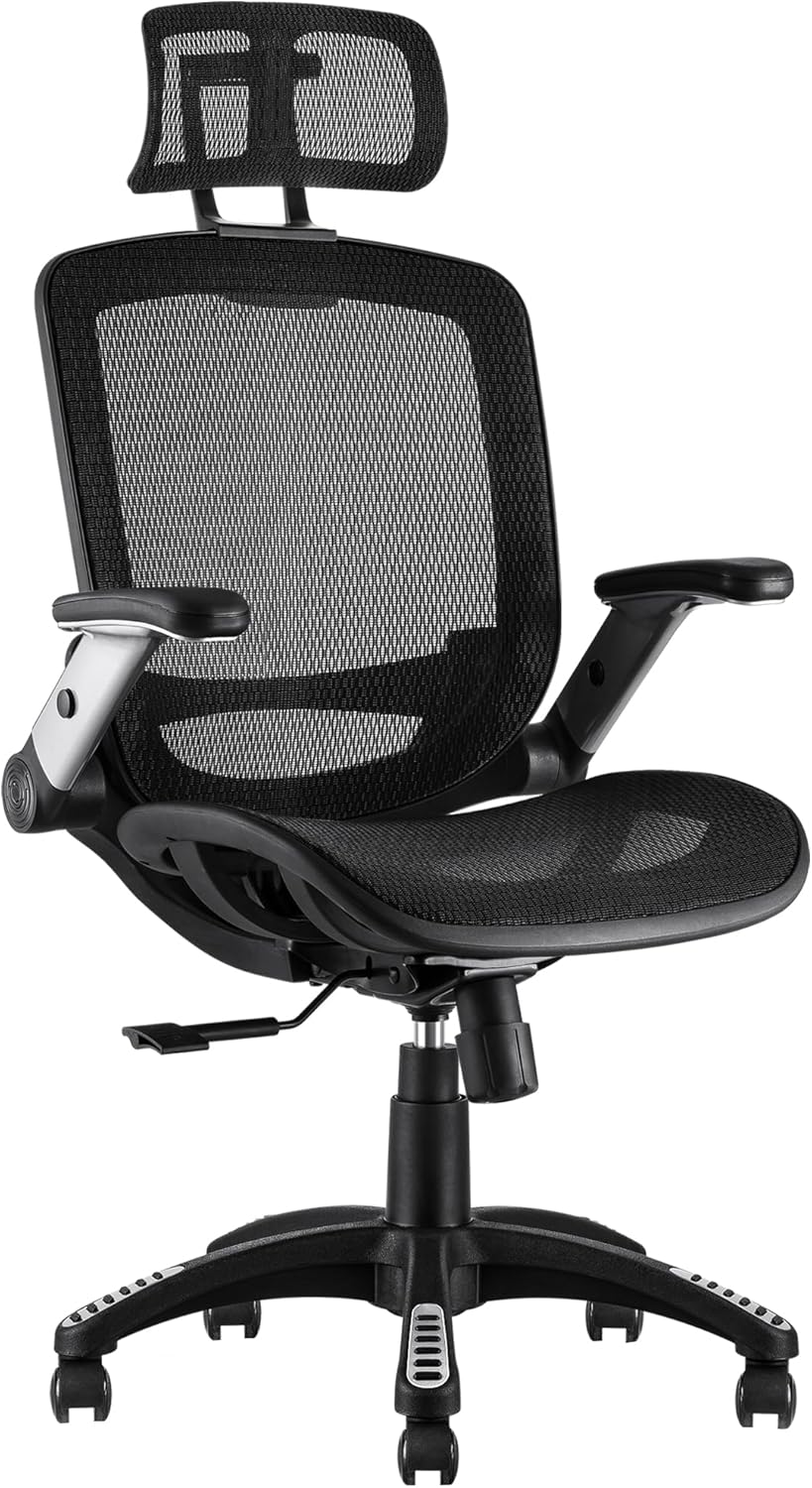 GABRYLLY Ergonomic Office Chair