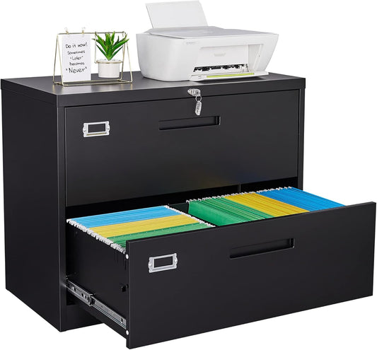 Letaya 2-Drawer Metal Lateral File Cabinet with Lock, Black