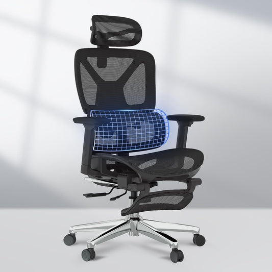 FLEXISPOT ErgoX Chair