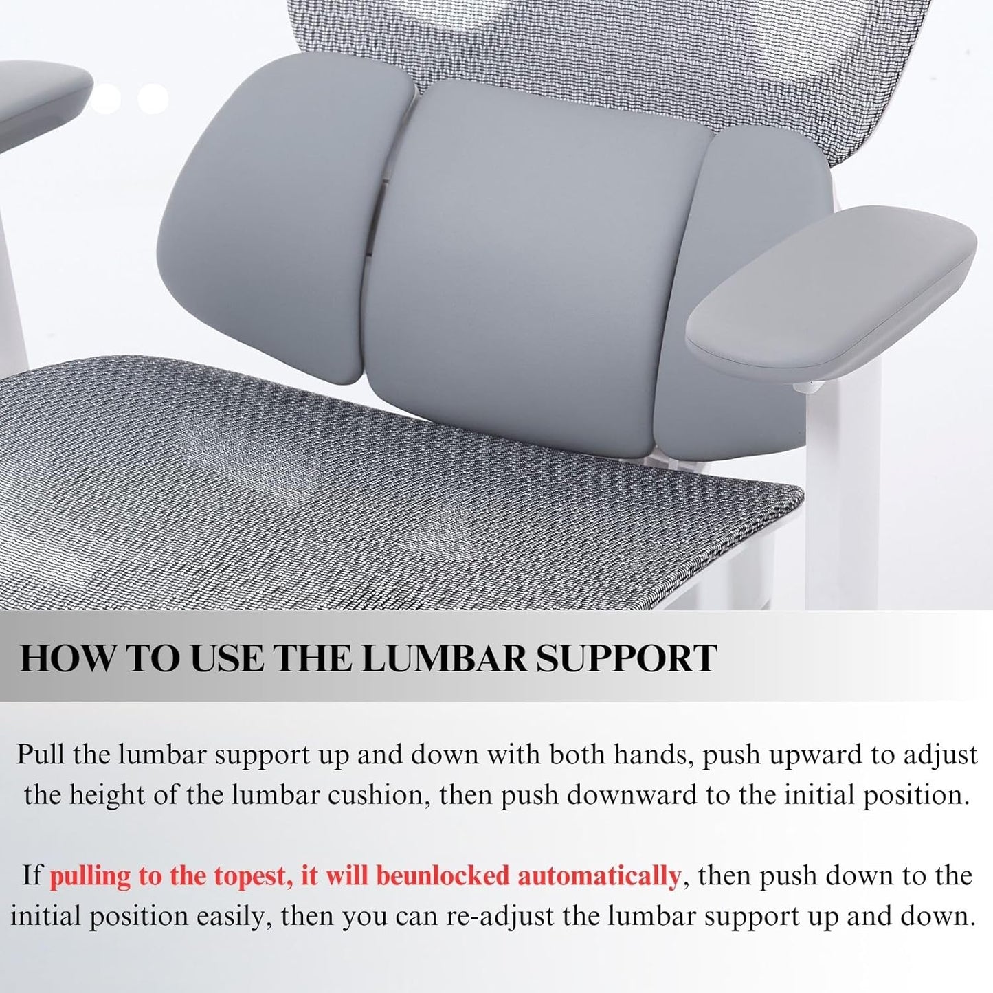 LuxErgo Mesh Office Chair